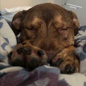 Meet your Posher, Katie